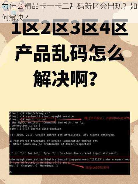 为什么精品卡一卡二乱码新区会出现？如何解决？