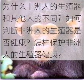 为什么非洲人的生殖器和其他人的不同？如何判断非洲人的生殖器是否健康？怎样保护非洲人的生殖器健康？