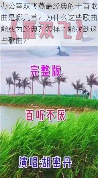 办公室双飞燕最经典的十首歌曲是哪几首？为什么这些歌曲能成为经典？怎样才能找到这些歌曲？