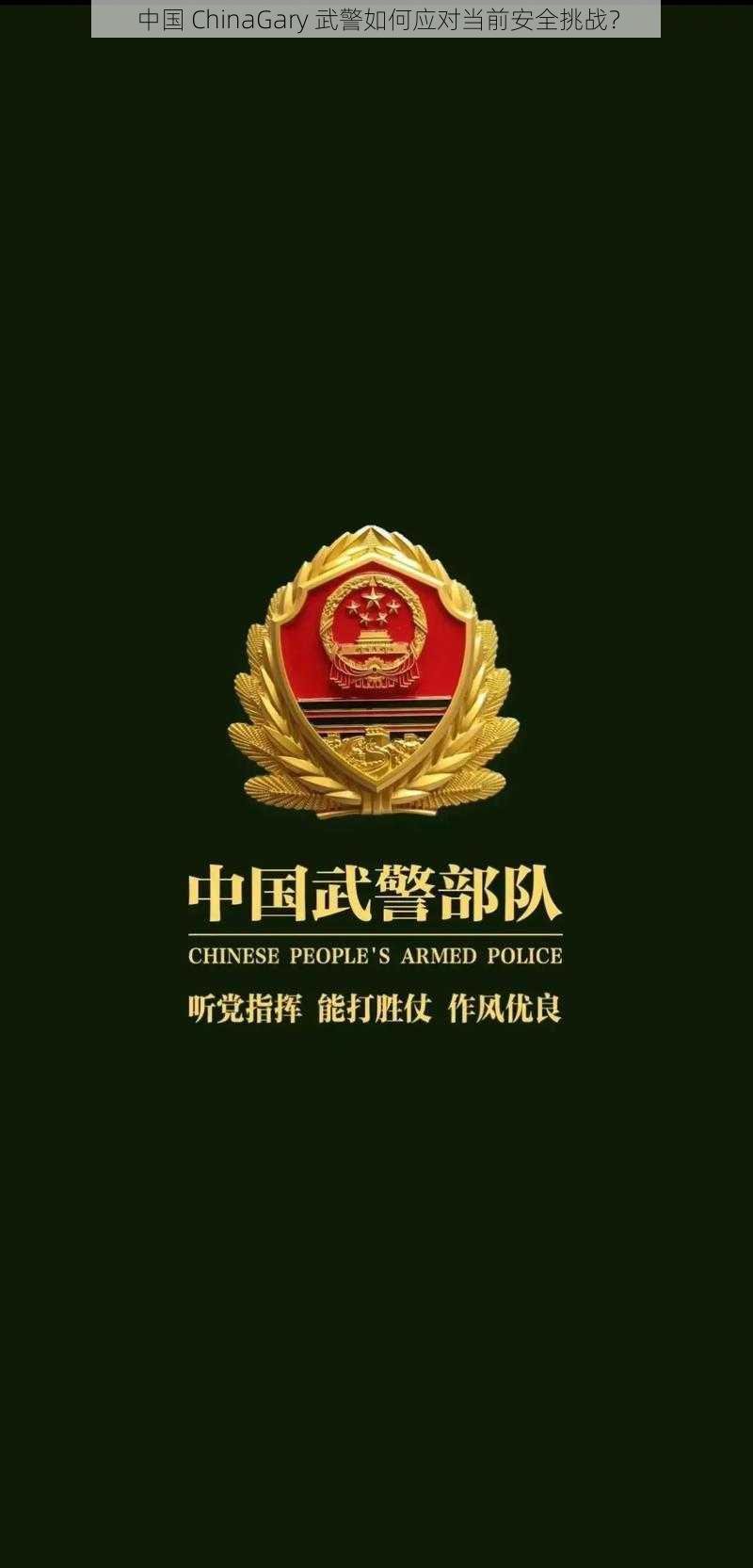 中国 ChinaGary 武警如何应对当前安全挑战？