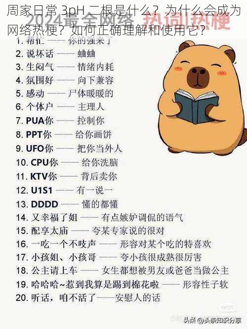 周家日常 3pH 二根是什么？为什么会成为网络热梗？如何正确理解和使用它？