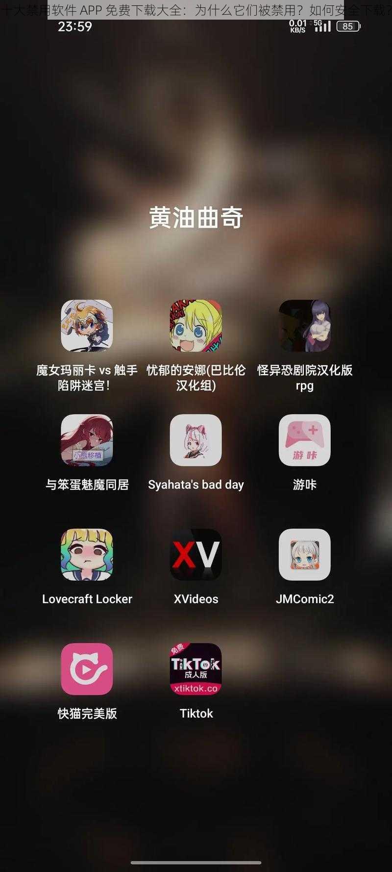 十大禁用软件 APP 免费下载大全：为什么它们被禁用？如何安全下载？