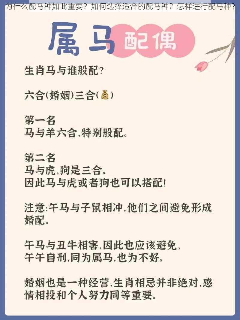 为什么配马种如此重要？如何选择适合的配马种？怎样进行配马种？