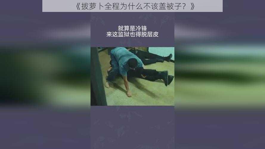 《拔萝卜全程为什么不该盖被子？》