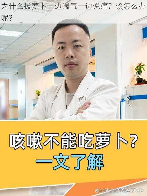 为什么拔萝卜一边喘气一边说痛？该怎么办呢？