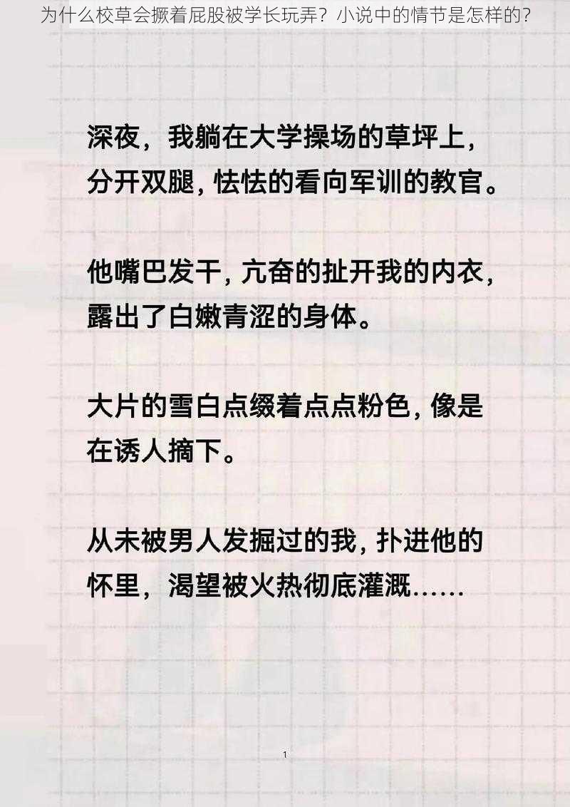 为什么校草会撅着屁股被学长玩弄？小说中的情节是怎样的？