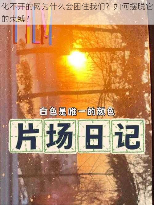 化不开的网为什么会困住我们？如何摆脱它的束缚？