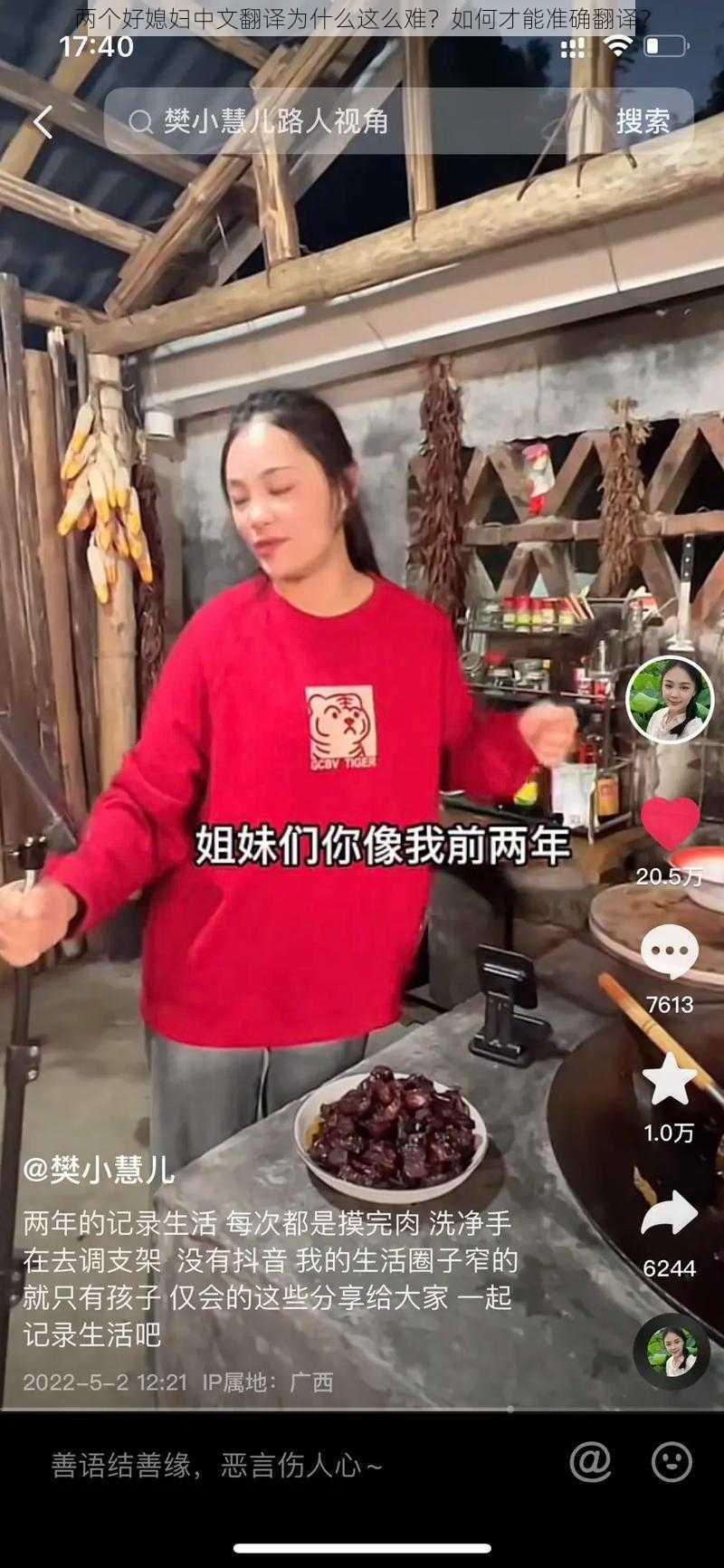 两个好媳妇中文翻译为什么这么难？如何才能准确翻译？