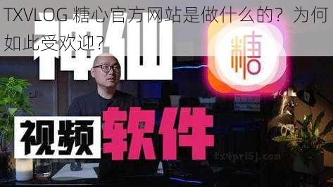 TXVLOG 糖心官方网站是做什么的？为何如此受欢迎？