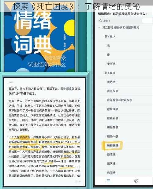 探索《死亡国度》：了解情绪的奥秘