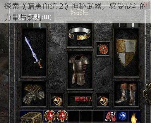 探索《暗黑血统 2》神秘武器，感受战斗的力量与魅力