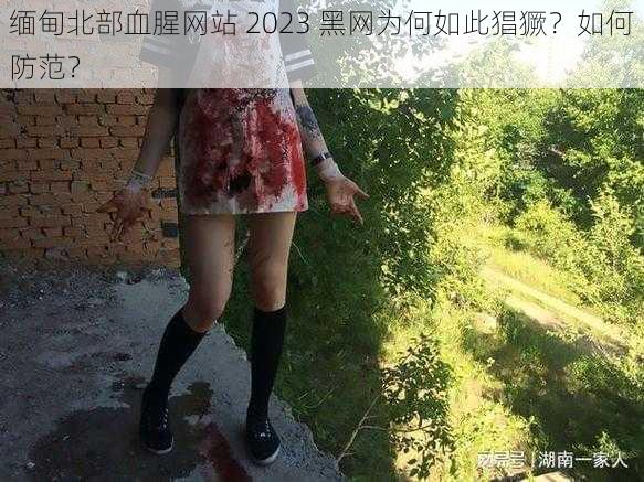 缅甸北部血腥网站 2023 黑网为何如此猖獗？如何防范？