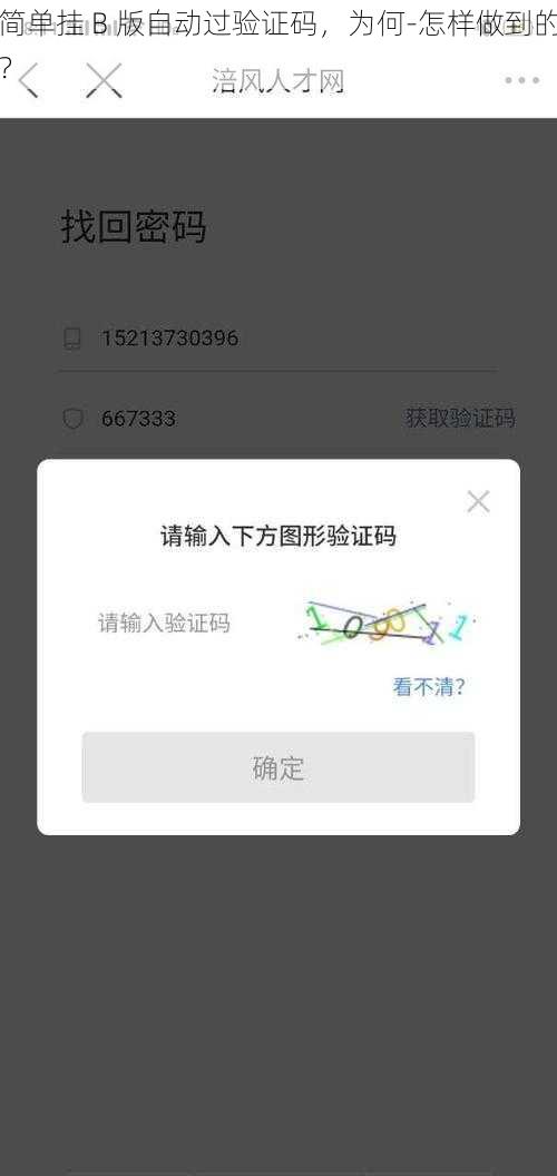 简单挂 B 版自动过验证码，为何-怎样做到的？