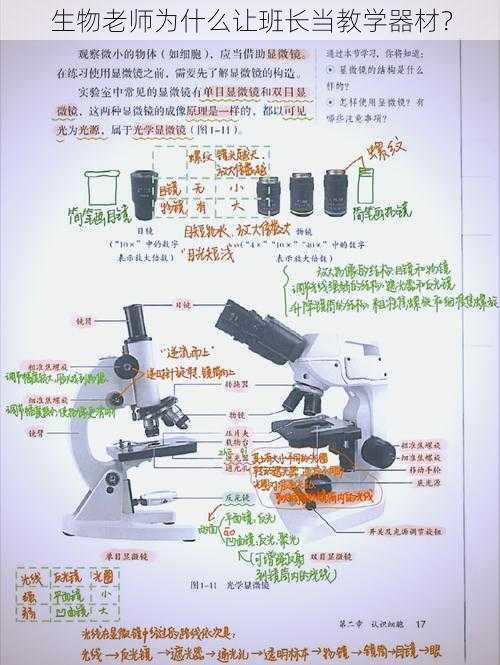 生物老师为什么让班长当教学器材？