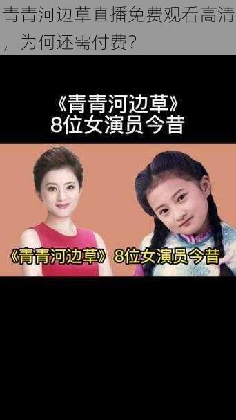 青青河边草直播免费观看高清，为何还需付费？