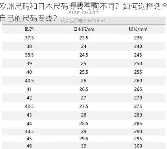 欧洲尺码和日本尺码专线有何不同？如何选择适合自己的尺码专线？