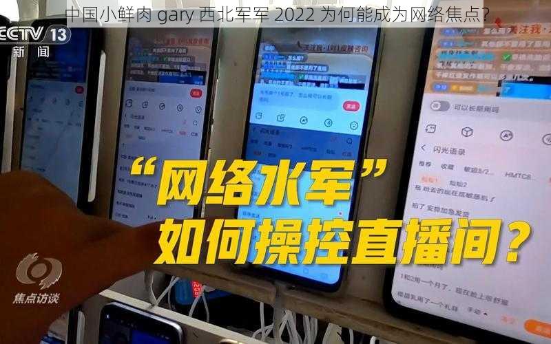 中国小鲜肉 gary 西北军军 2022 为何能成为网络焦点？