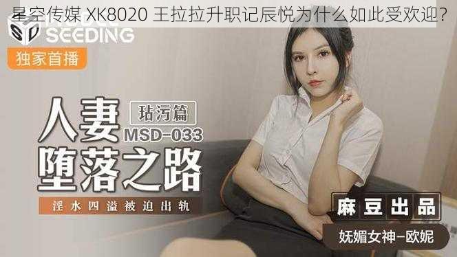 星空传媒 XK8020 王拉拉升职记辰悦为什么如此受欢迎？