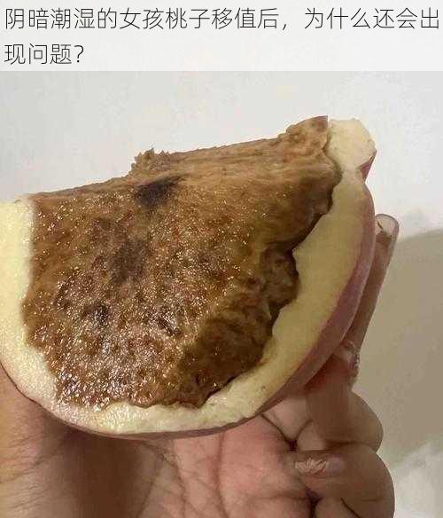 阴暗潮湿的女孩桃子移值后，为什么还会出现问题？