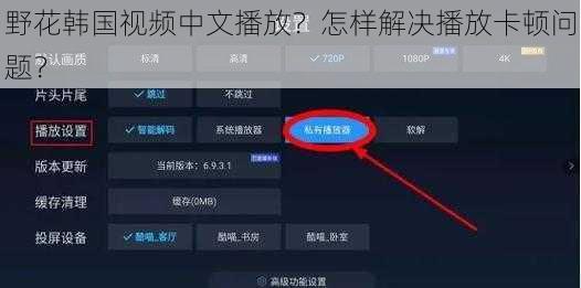 野花韩国视频中文播放？怎样解决播放卡顿问题？