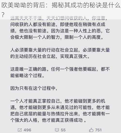 欧美呦呦的背后：揭秘其成功的秘诀是什么？