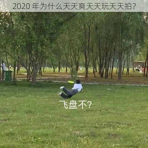 2020 年为什么天天爽天天玩天天拍？