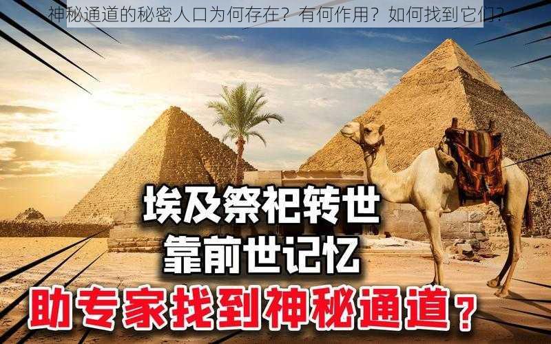 神秘通道的秘密人口为何存在？有何作用？如何找到它们？