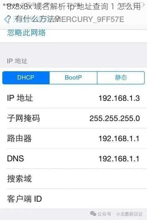 8x8x8x 域名解析 ip 地址查询 1 怎么用？有什么方法？