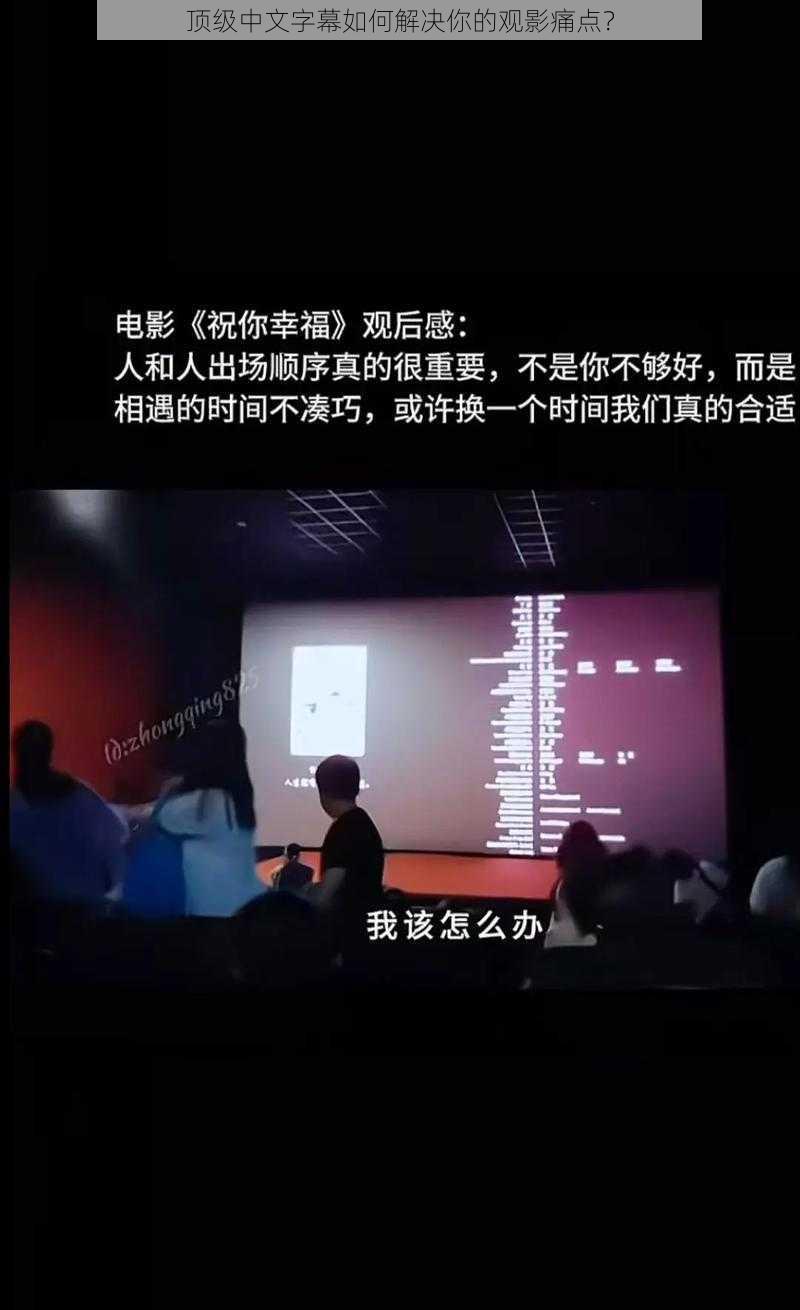 顶级中文字幕如何解决你的观影痛点？