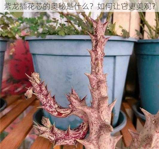 紫龙插花芯的奥秘是什么？如何让它更美观？