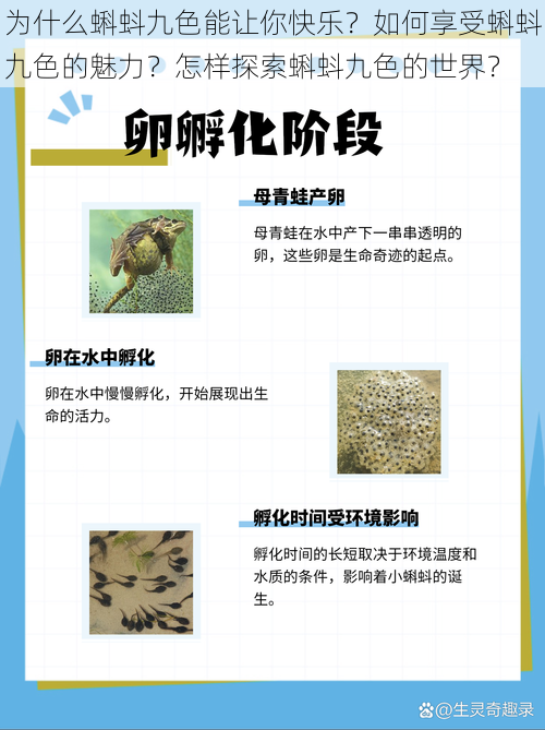 为什么蝌蚪九色能让你快乐？如何享受蝌蚪九色的魅力？怎样探索蝌蚪九色的世界？