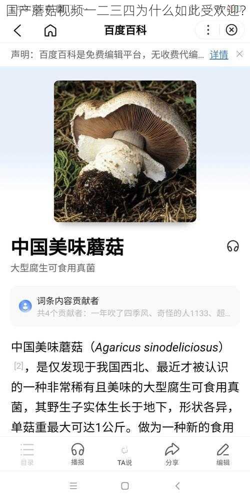 国产蘑菇视频一二三四为什么如此受欢迎？