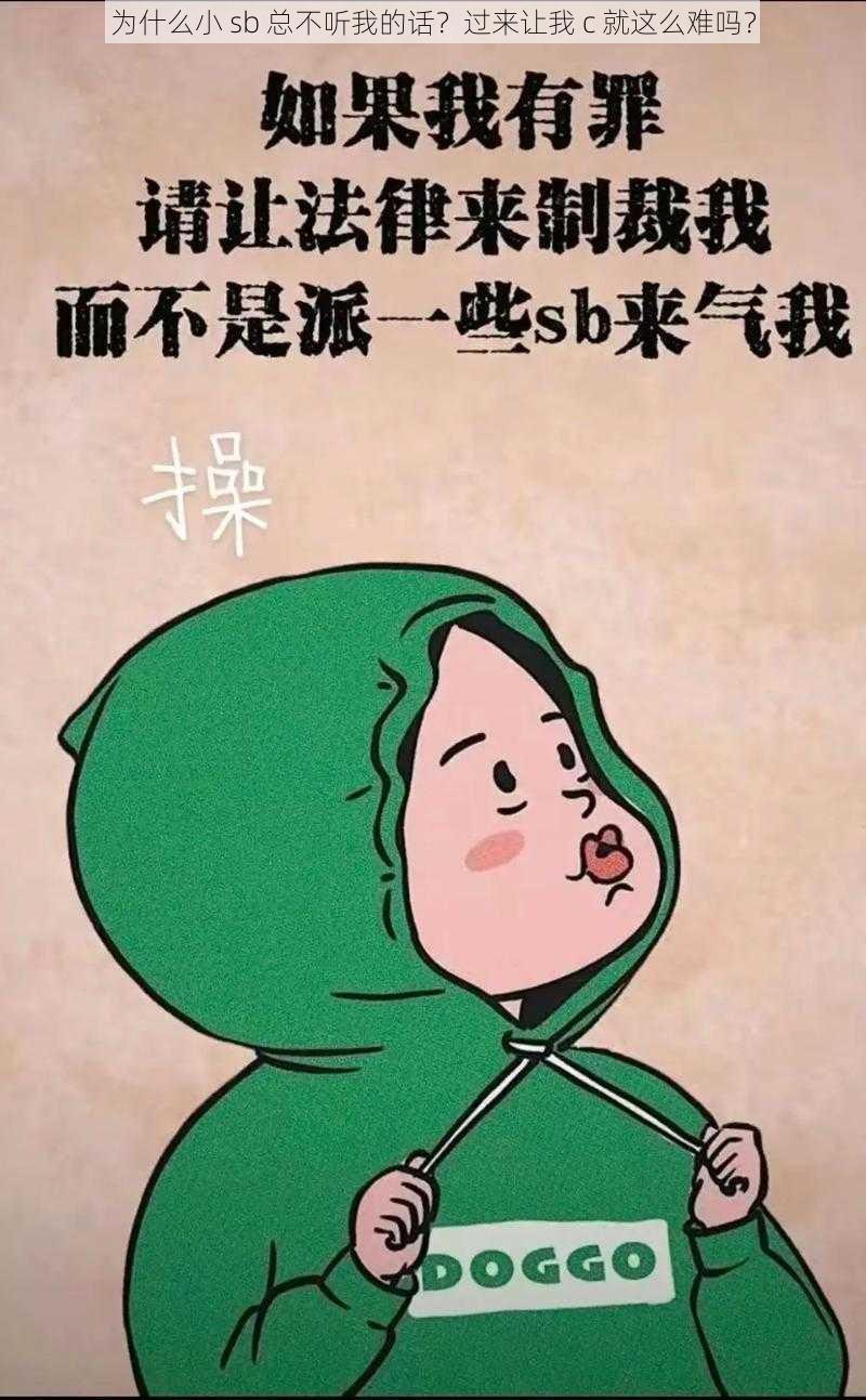 为什么小 sb 总不听我的话？过来让我 c 就这么难吗？