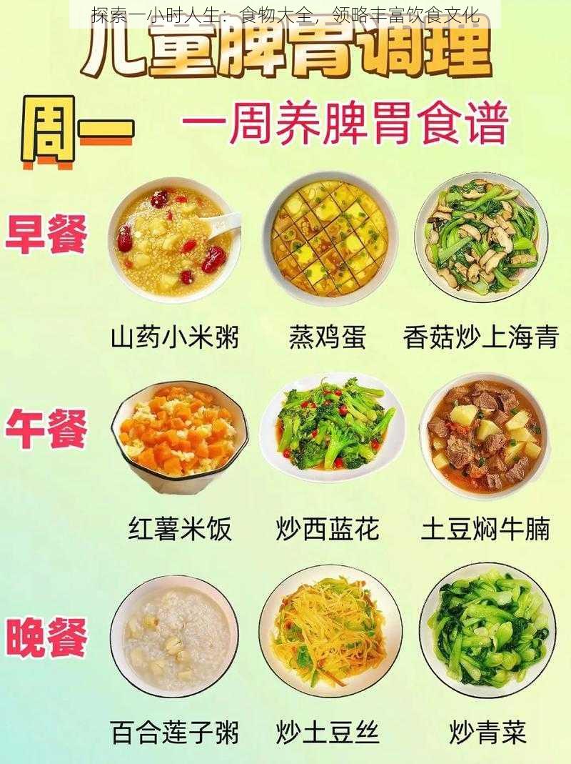 探索一小时人生：食物大全，领略丰富饮食文化