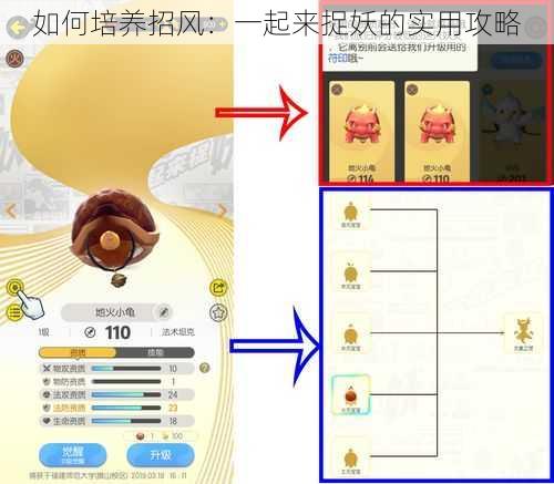 如何培养招风：一起来捉妖的实用攻略