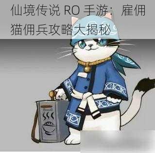 仙境传说 RO 手游：雇佣猫佣兵攻略大揭秘