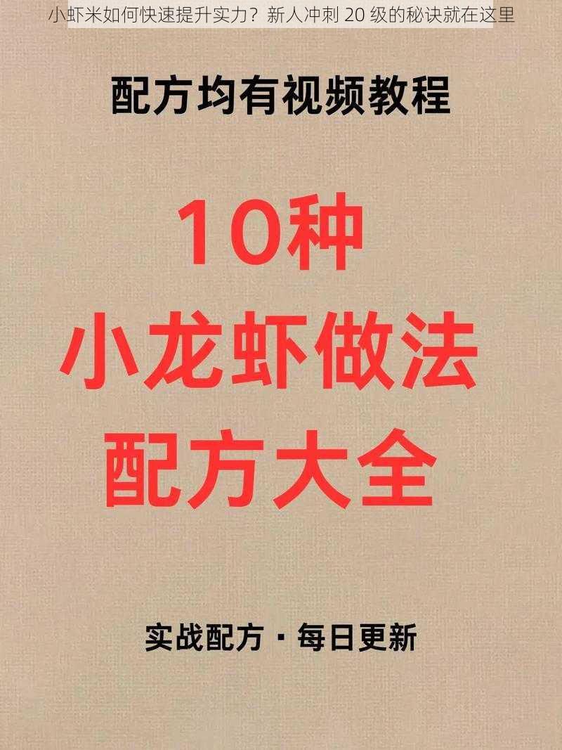 小虾米如何快速提升实力？新人冲刺 20 级的秘诀就在这里