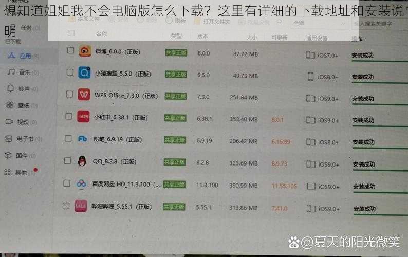 想知道姐姐我不会电脑版怎么下载？这里有详细的下载地址和安装说明