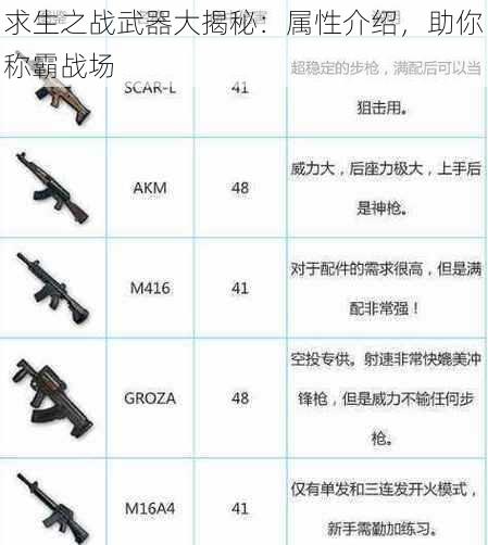 求生之战武器大揭秘：属性介绍，助你称霸战场