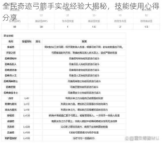 全民奇迹弓箭手实战经验大揭秘，技能使用心得分享