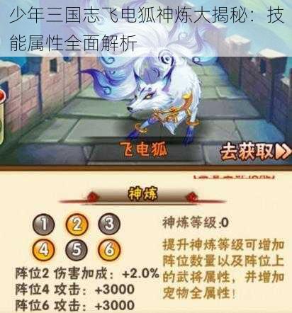 少年三国志飞电狐神炼大揭秘：技能属性全面解析