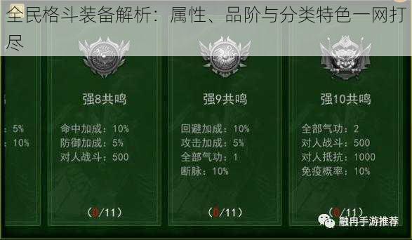 全民格斗装备解析：属性、品阶与分类特色一网打尽